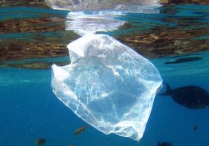 Marine plastic debris