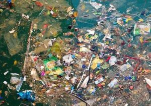 Sustainable Feedstock