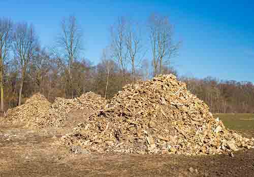 Biomass waste