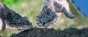 Biomass Biochar 