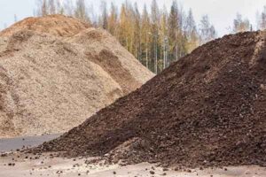 Biomass wood