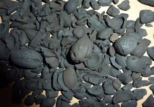 charcoal