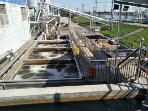 Sewage Sludge Pyrolysis