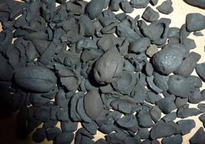 Nutshell charcoal